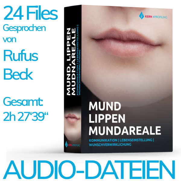 AUDIOS BAUSTEIN VI